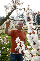 Karl Schroll im Marillenbaumgarten-170403-8662