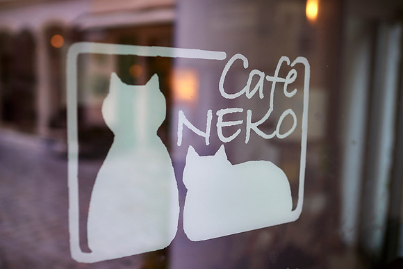 Cafe Neko