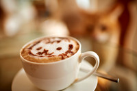 Cafe Neko