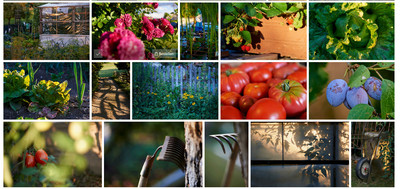 Stockfotos Im Garten; robertkalb photographien