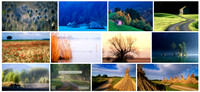 Stockfotos Landschaft