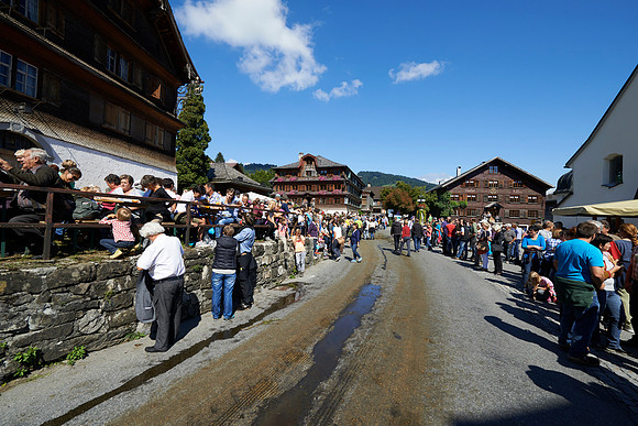 Alptag in Schwarzenberg-150908-0933