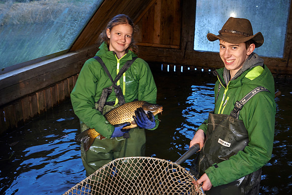yupitaze fischtextil 160402__6641