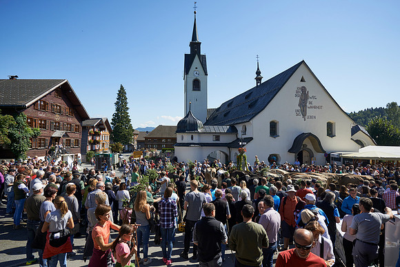 Alptag in Schwarzenberg-150908-0918