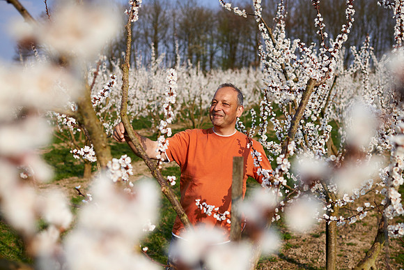 Karl Schroll im Marillenbaumgarten-170403-8639