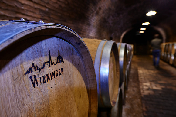 Weingut Wieninger Weinkeller-170427-WW-023 1