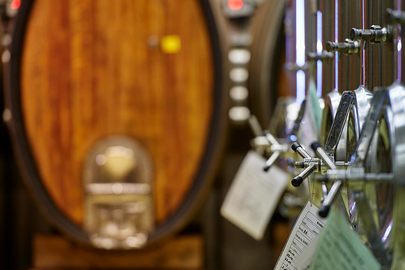 Weingut Wieninger Weinkeller-170427-WW-052 1