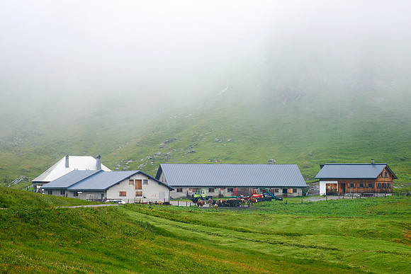 Alpe Saluver im Nebel