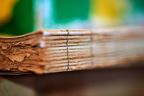 Die Buchbinderin