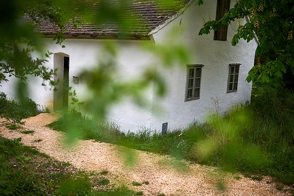 Blick auf ein Wohnhaus im Grünen