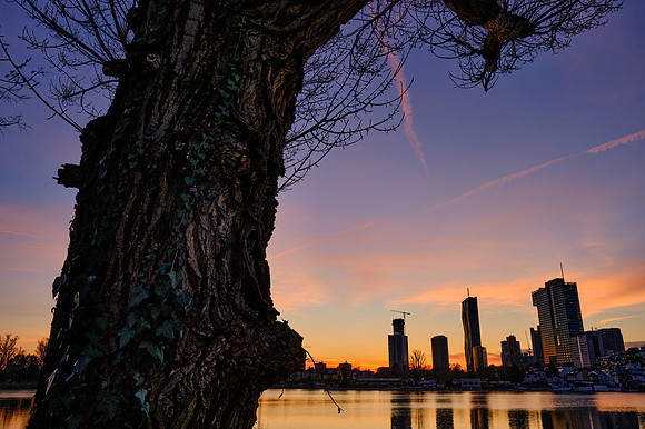 Blick über die Donau auf die Donaucity im Abendrot