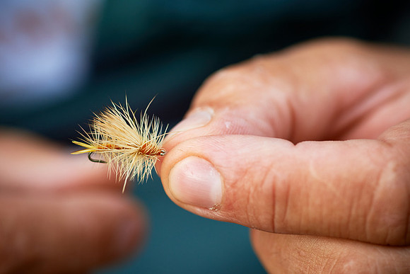 Flyfishing Claus Elmenreich