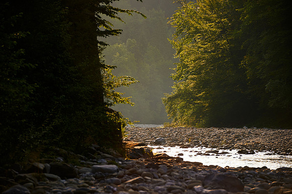 Flyfishing Claus Elmenreich