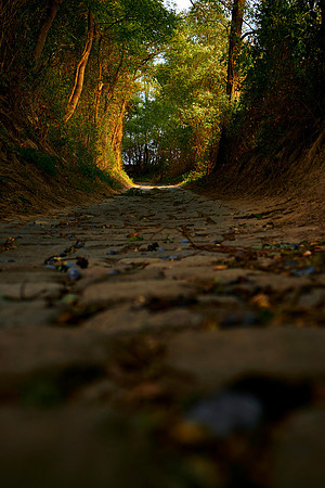 Romantischer Hohlweg zum Weinberg