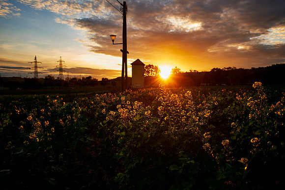 Satzkeller Weg im Abendlicht