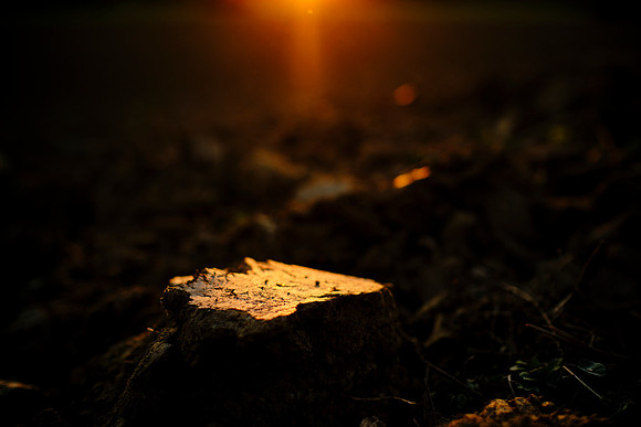Erdscholle im Abendlicht