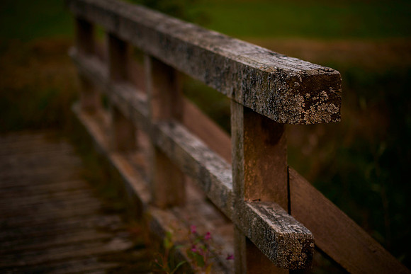 Güterweg durch eine Naturlandschaft