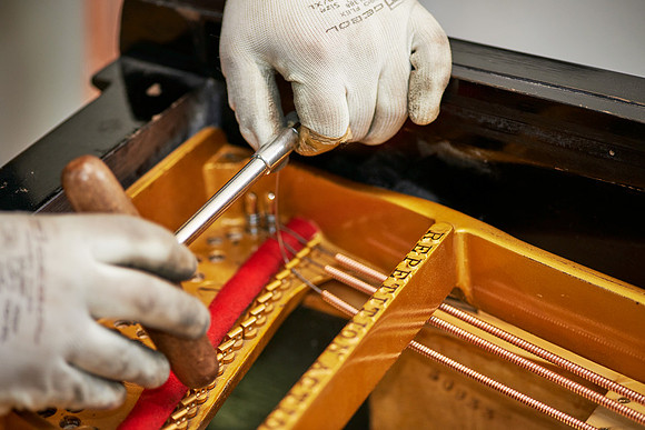 FEURICH PIANOFORTE Wendl&Lung GmbH