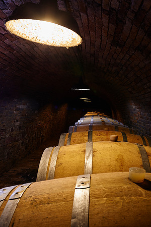 Weingut Wieninger Weinkeller-170427-WW-008 1