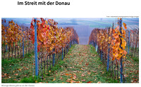 robertkalb stockphotographie, Bildbeispiele